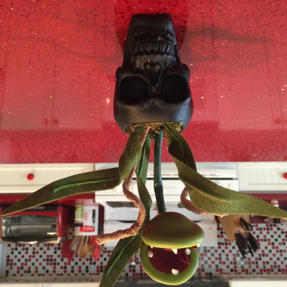 8' Faux Venus Flytrap Halloween in Skeleton Skull